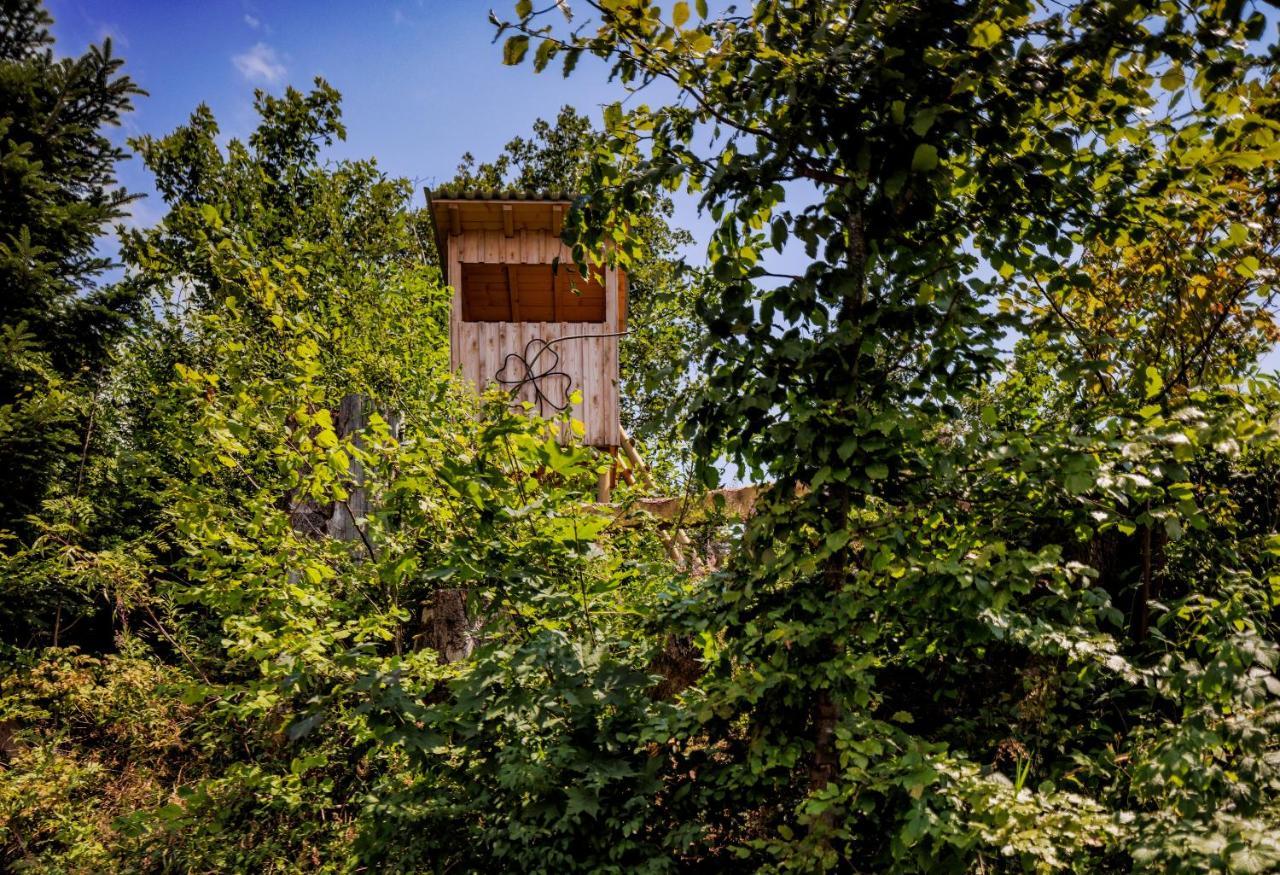 Villa Pfaenderglueck Lochau Esterno foto